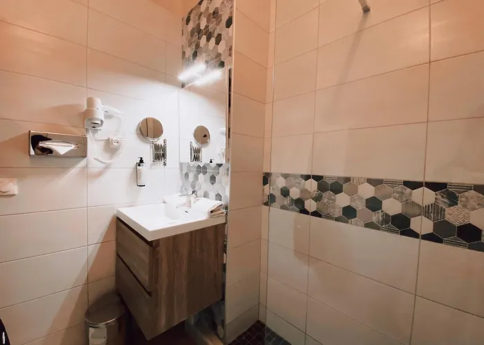 劳亚尔酒店 3* 尼姆