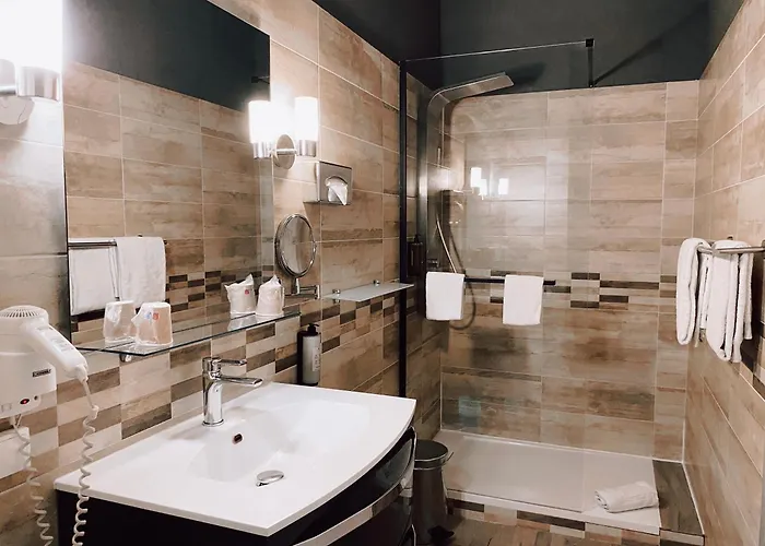 酒店 劳亚尔酒店 尼姆