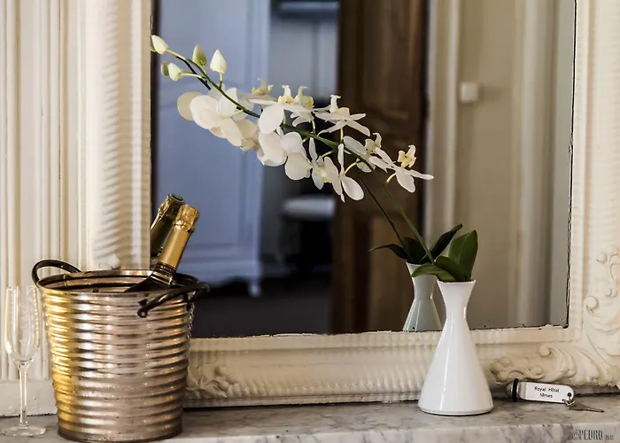 酒店 劳亚尔酒店 3*