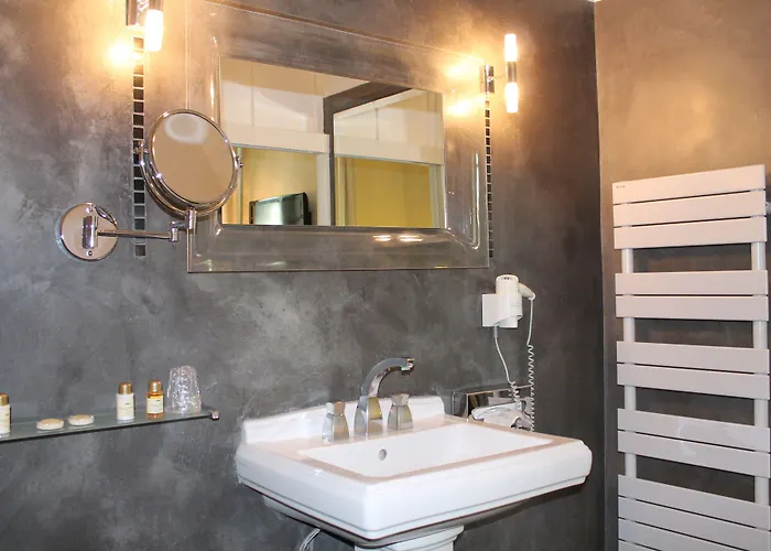 劳亚尔酒店 酒店 尼姆