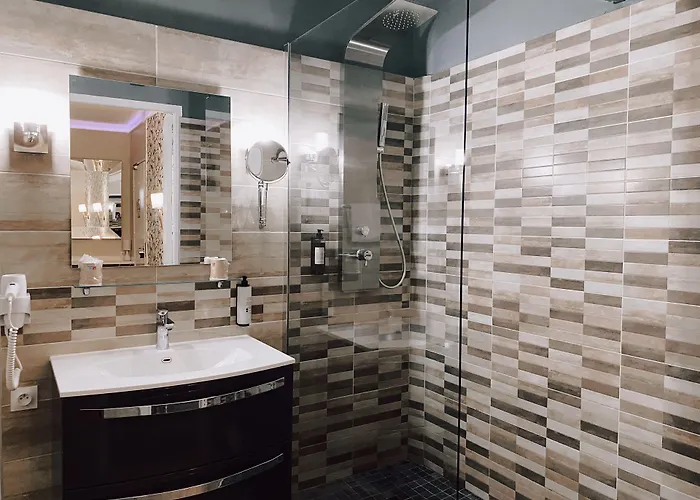 劳亚尔酒店 3* 尼姆