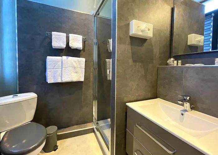 劳亚尔酒店 3* 尼姆